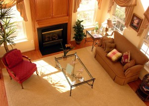 Fireplace Accessories - Fireplace Door as the focal point of your room